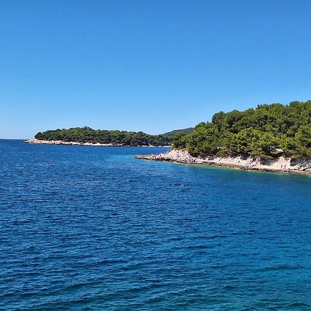 Villa Kamelija Фажана Экстерьер фото
