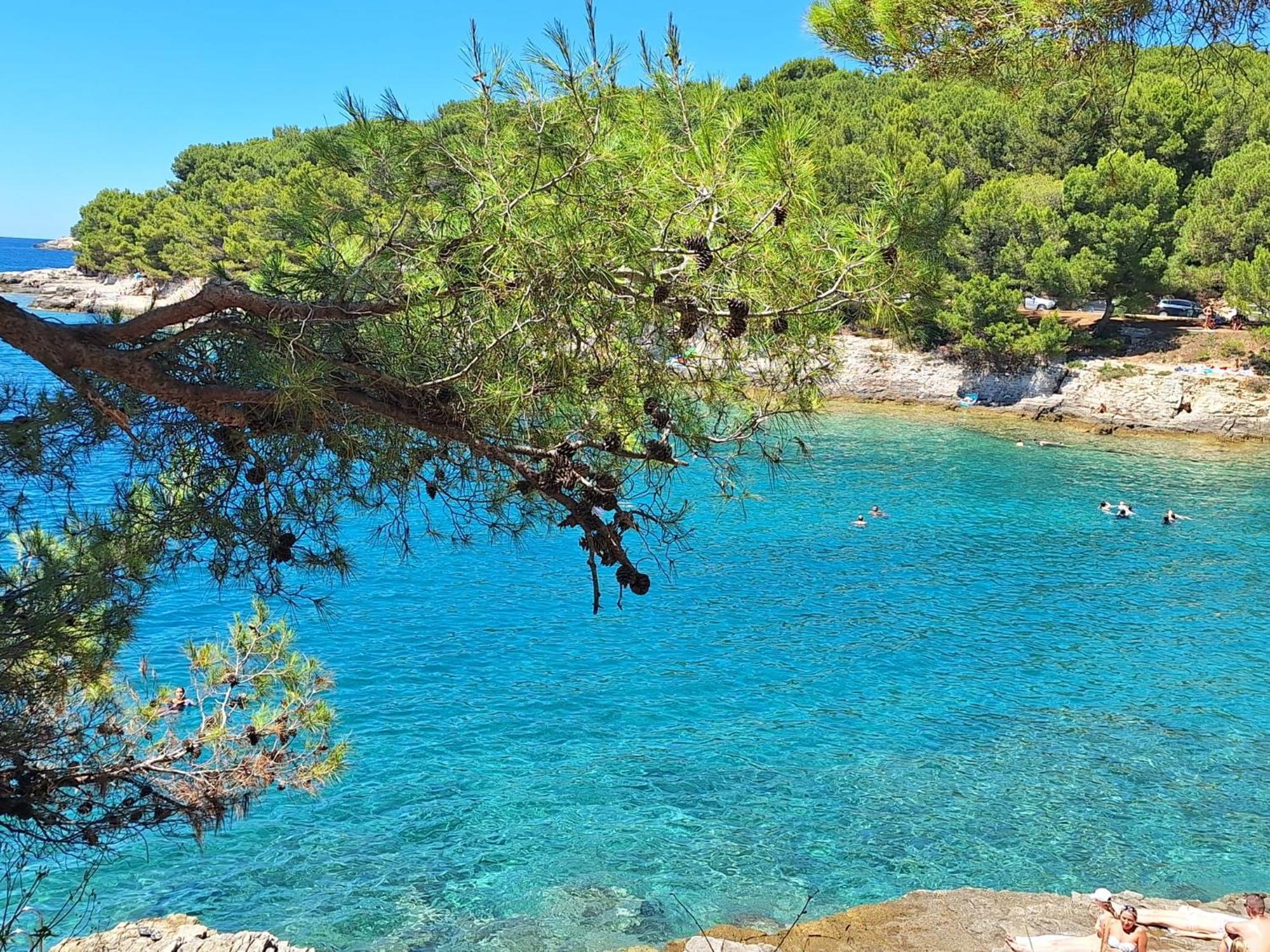 Villa Kamelija Фажана Экстерьер фото